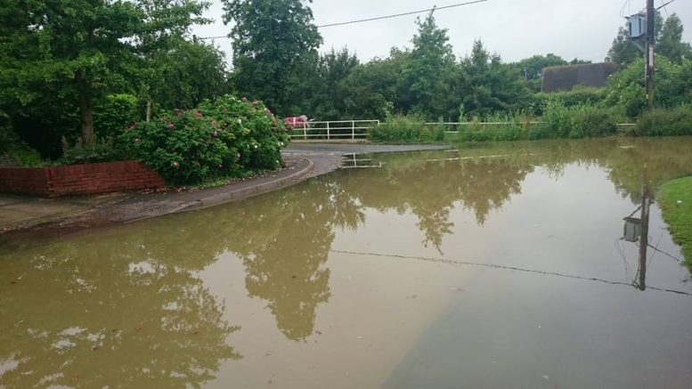 Whalebone Flooding Photo by Christina Booth